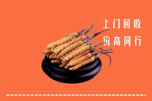 高价求购：徐州回收散虫草