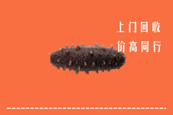 高价求购：徐州回收海参