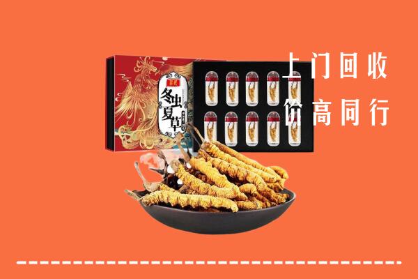 徐州回收虫草